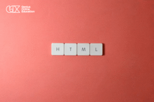 Most Important HTML Tags to Learn
